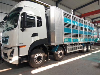 东风天龙全铝合金运猪车 高效、安全、人性化的现代猪仔运输解决方案